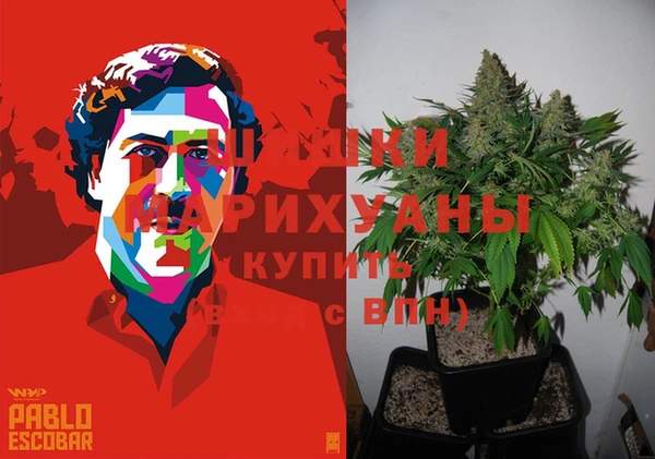 спиды Абаза